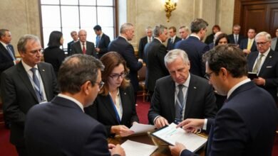 lobi asing parlemen, intervensi asing parpol